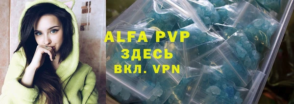 хмурый Белокуриха