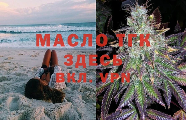 хмурый Белокуриха