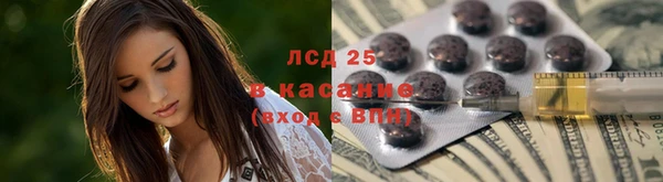 хмурый Белокуриха