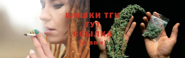 хмурый Белокуриха