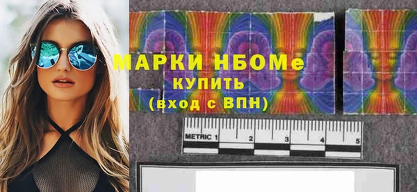 хмурый Белокуриха