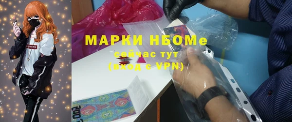 хмурый Белокуриха