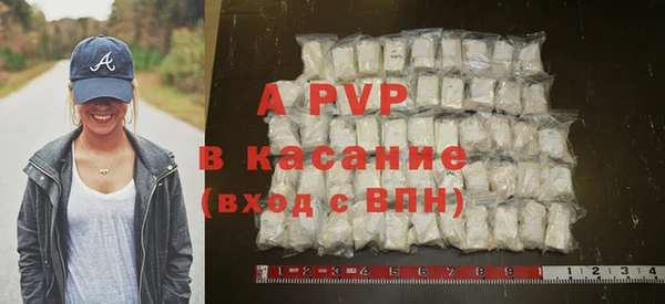 хмурый Белокуриха