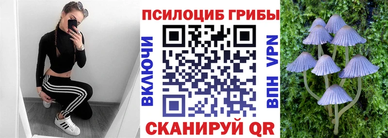 Галлюциногенные грибы MAGIC MUSHROOMS  Купить где  Балабаново 